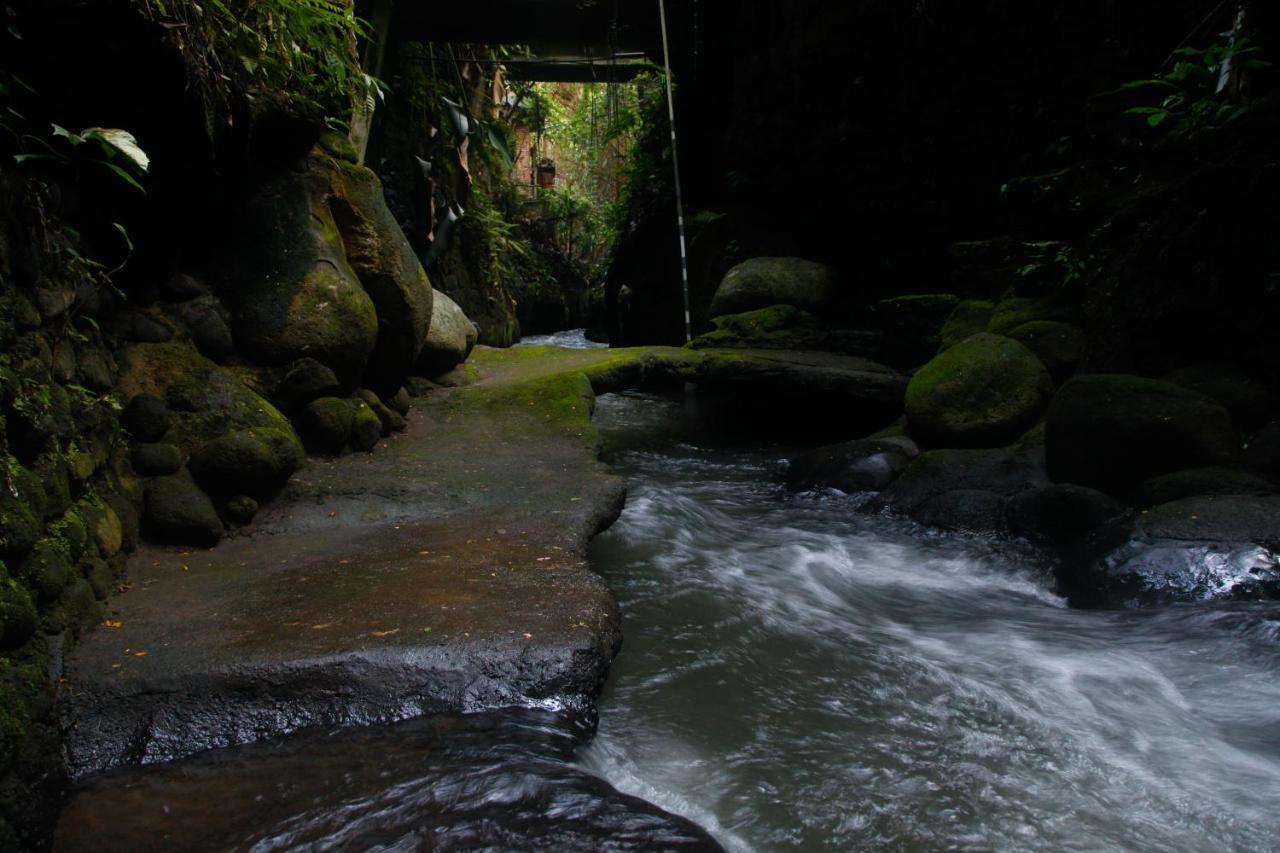 Pondok Legon House Villa Ubud  Bagian luar foto