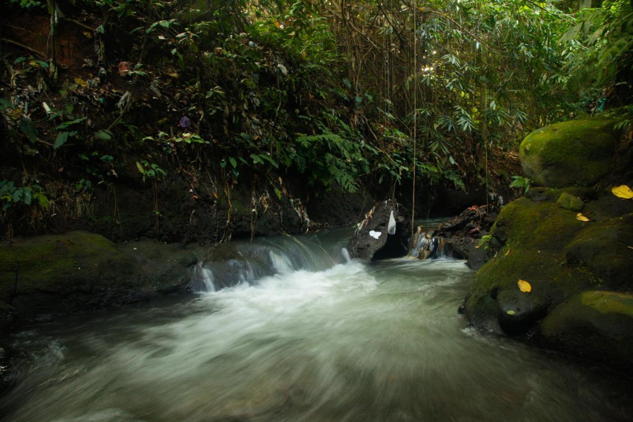 Pondok Legon House Ubud  Bagian luar foto